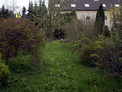 Garten vorher